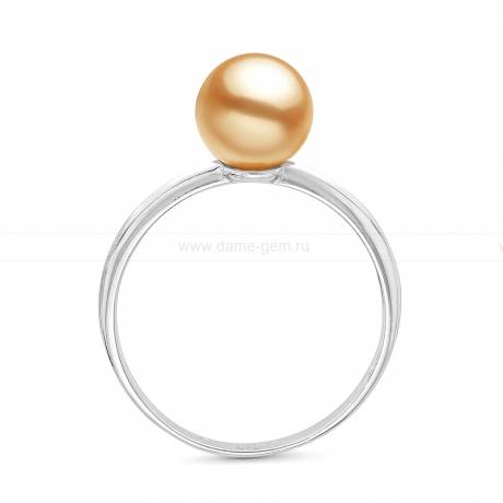 Кольцо из золота с золотистой морской жемчужиной Акойя 7,5-8 мм. Артикул 11653