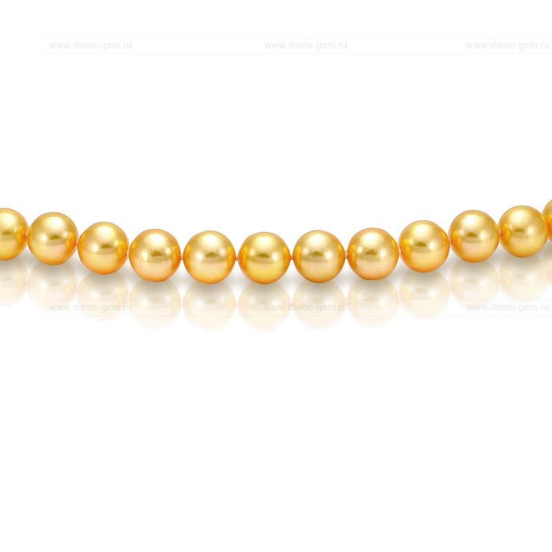 Ожерелье из золотистого морского жемчуга Акойя (Япония) 8,5-9 мм. Качество жемчуга наивысшее ААА. Артикул 8392 Ожерелье из золотистого морского жемчуга Акойя (Япония) 8,5-9 мм. Качество жемчуга наивысшее ААА. Артикул 8392