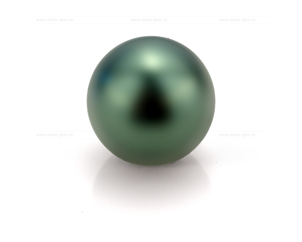 Жемчужина черная морская Таитянская 15,6-15,9 мм. Класс высокий АА+. Артикул 10683