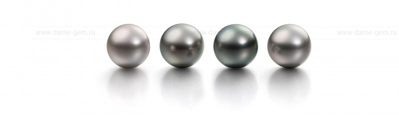 Жемчужина черная морская Таитянская 10-10,5 мм. Класс наивысший ААА. Артикул 9836