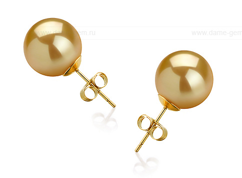 Пусеты из золота 585 пробы с золотистыми Австралийскими жемчужинами 11,6-11,9 мм . Артикул 11304 Пусеты из золота 585 пробы с золотистыми Австралийскими жемчужинами 11,6-11,9 мм . Артикул 11304