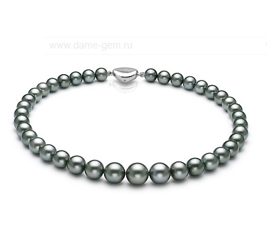 Ожерелье из темно-серого морского Таитянского жемчуга 10-12,4 мм. Качество жемчуга наивысшее ААА. Артикул 8418 Ожерелье из темно-серого морского Таитянского жемчуга 10-12,4 мм. Качество жемчуга наивысшее ААА. Артикул 8418