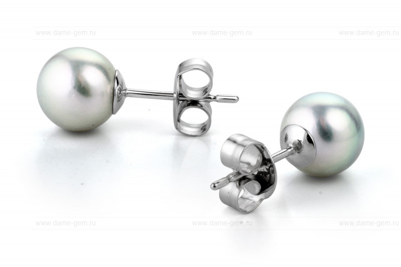 Пусеты из золота 585 пробы с серебристыми жемчужинами Акойя 8-8,5 мм. Артикул 9633