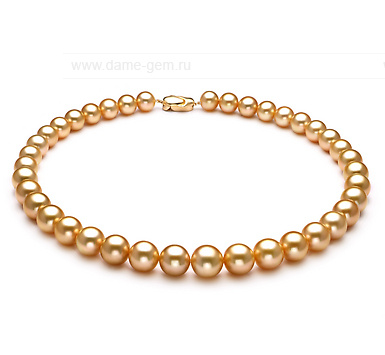 Ожерелье из золотистого морского Австралийского жемчуга 10-12,1 мм. Качество жемчуга высокое АА+. Артикул 10664 Ожерелье из золотистого морского Австралийского жемчуга 10-12,1 мм. Качество жемчуга высокое АА+. Артикул 10664
