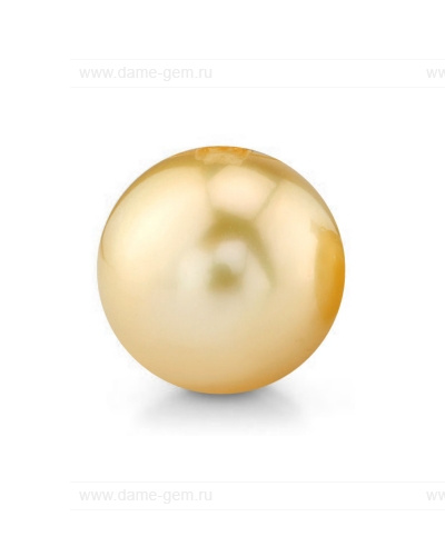 Жемчужина золотистая морская Австралийская 12,6-12,9 мм. Класс средний АА. Артикул 12288