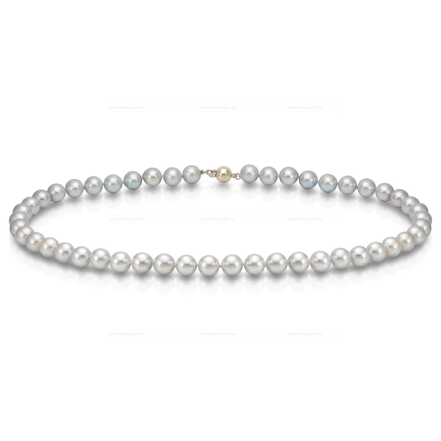 Ожерелье из серебристого морского жемчуга Акойя (Япония) 8-8,5 мм. Качество жемчуга наивысшее ААА. Артикул 8407 Ожерелье из серебристого морского жемчуга Акойя (Япония) 8-8,5 мм. Качество жемчуга наивысшее ААА. Артикул 8407