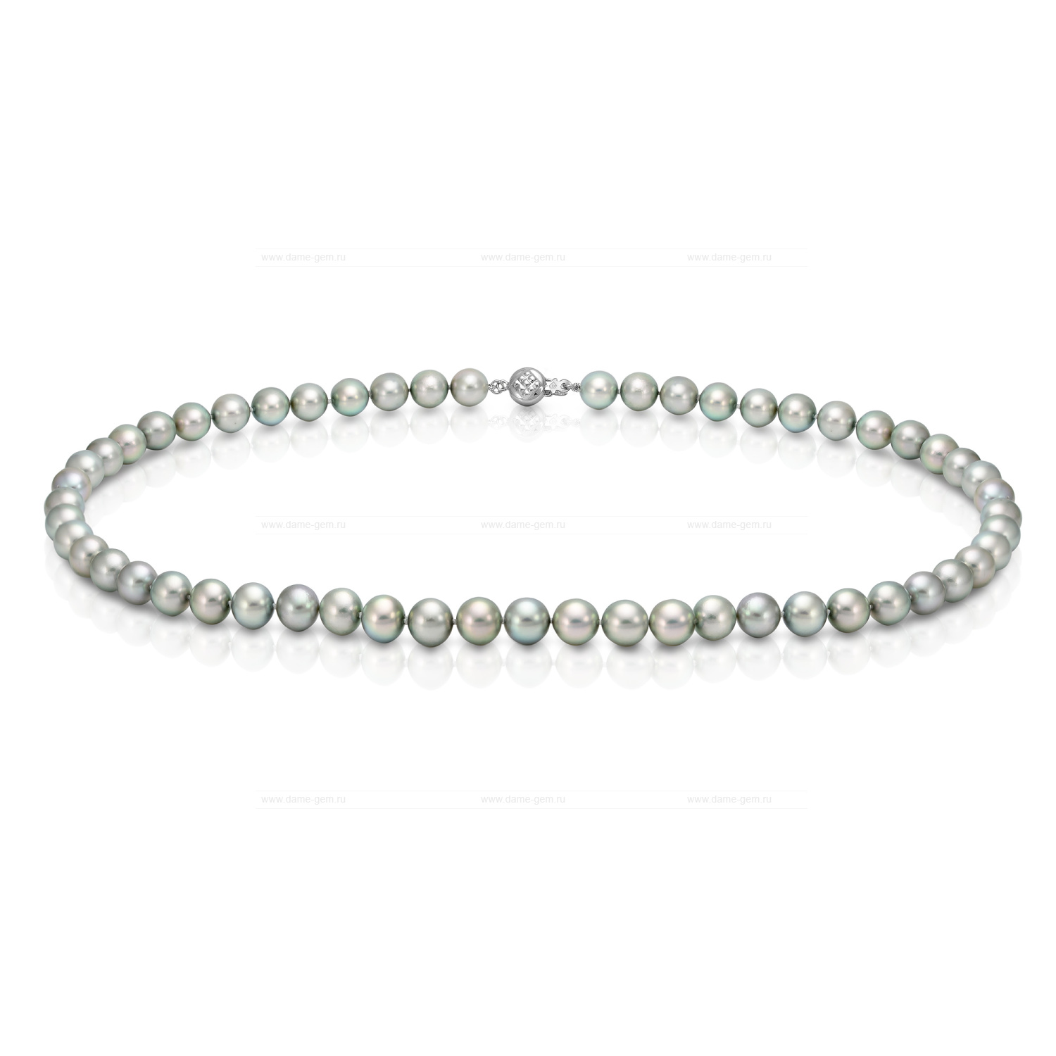 Ожерелье из серебристого жемчуга Акойя (Япония) 7,5-8 мм. Качество жемчуга наивысшее ААА. Артикул 7618 Ожерелье из серебристого жемчуга Акойя (Япония) 7,5-8 мм. Качество жемчуга наивысшее ААА. Артикул 7618