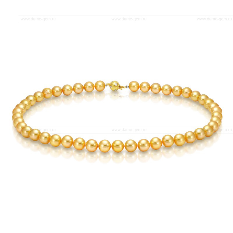 Ожерелье из золотистого морского жемчуга Акойя (Япония) 8,5-9 мм. Качество жемчуга наивысшее ААА. Артикул 8392 Ожерелье из золотистого морского жемчуга Акойя (Япония) 8,5-9 мм. Качество жемчуга наивысшее ААА. Артикул 8392