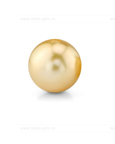 Жемчужина золотистая морская Австралийская 10-10,5 мм. Класс средний АА. Артикул 12294 Жемчужина золотистая морская Австралийская 10-10,5 мм. Класс средний АА. Артикул 12294