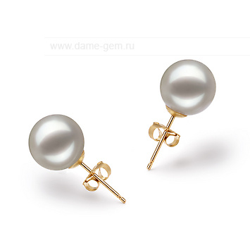 Пусеты из золота 585 пробы c белыми жемчужинами Акойя 8,5-9 мм. Артикул 11302