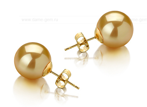 Пусеты из золота 585 пробы с золотистыми Австралийскими жемчужинами 11-11,5 мм. Артикул 11785 Пусеты из золота 585 пробы с золотистыми Австралийскими жемчужинами 11-11,5 мм. Артикул 11785